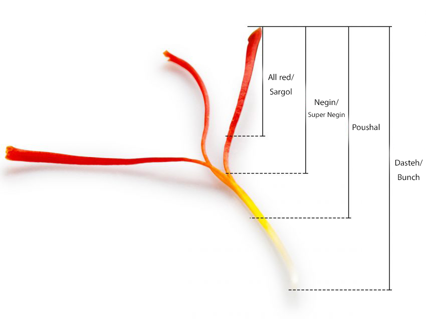 1111 grades of saffron