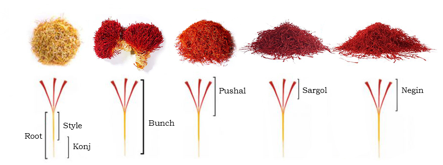 Saffron Grades grades of saffron