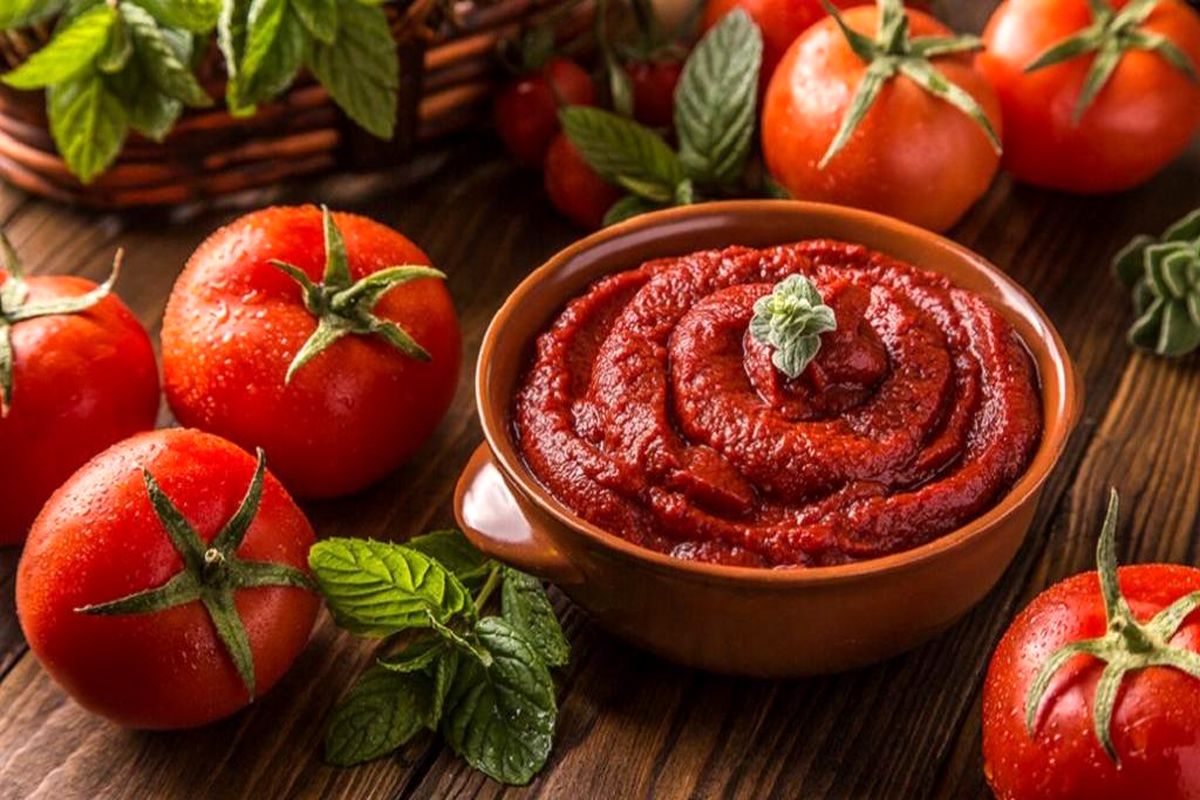 High quality tomato paste from Iran