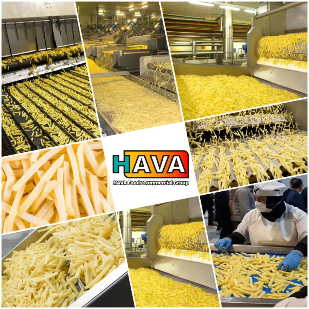 Iranian french fries